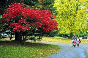 Supporting image for story: Chunky knits, bonfires, red wine - why I love autumn