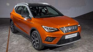 Supporting image for story