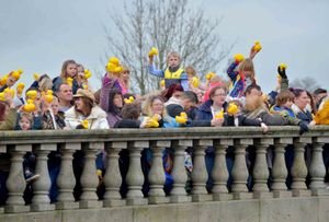 Bewdley Duck Race