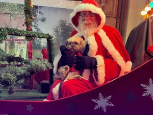 Supporting image for story: All generations 'excited' to meet Santa as Shrewsbury's Christmas lights are switched on