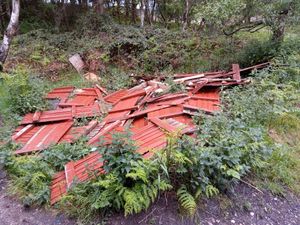 Supporting image for story: Anger as fly-tippers dump fence panels at Cannock Chase