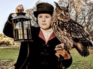 Supporting image for story: Birds of prey to soar high over castle in special gothic falconry event 