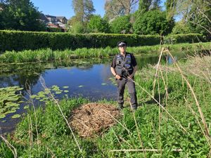 Police are appealing for information after the 'unlawful killing' of two nesting swans in Newport. Picture: Telford & Wrekin Police. 