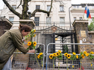 Supporting image for story: Sunflowers outside village hall to raise funds for Ukraine 
