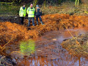 Supporting image for story: Orange Serpentine stream given health check in project