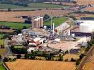 Supporting image for story: Sour taste left over sugar beet question