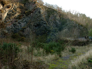 Supporting image for story: Plan to protect and enhance Wrekin forest