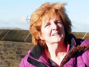 Supporting image for story: Ludlow bus service axed for second time