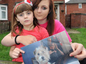 Supporting image for story: Teenager's horror as puppy savaged by dog