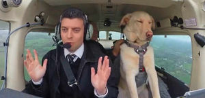 Look, no hands! – Reggie takes the controls