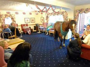 Supporting image for story: Rupert horses about at Telford residential home