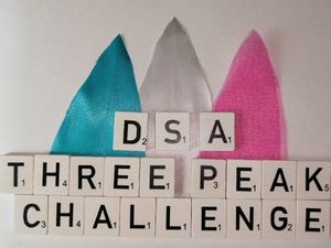 Supporting image for story: Three Peaks Challenge: Fundraisers supporting Dudley stroke charity