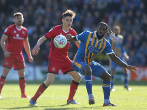 Supporting image for story: Shrewsbury Town 0 Walsall 0 - Report and pictures