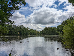 Supporting image for story: Local nature reserves declared and extended in Telford and Wrekin