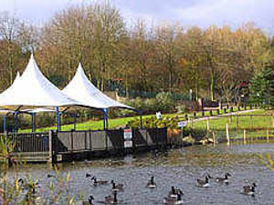 Supporting image for story: Towns lose out in Disney twin bid