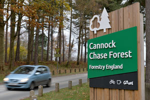 Cannock Chase