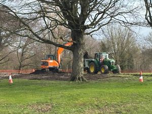 Supporting image for story: Tonnes of waste clearance starts at Walsall Arboretum
