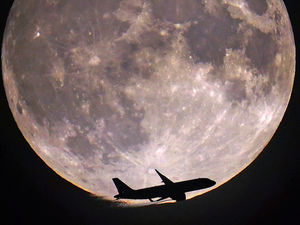 Supporting image for story: Peter Rhodes on Kate’s trolls, guns on the moon and the strangeness of our language