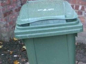 Supporting image for story: Year-round garden waste collection now launched