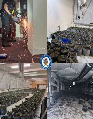 Officers shut down a suspected cannabis farm with over 2000 plants