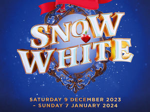Supporting image for story: Wolverhampton Grand Theatre announces panto for next year