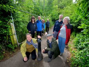 Supporting image for story: Greenfields park row: Sensational win for Shrewsbury residents in David v Goliath court battle