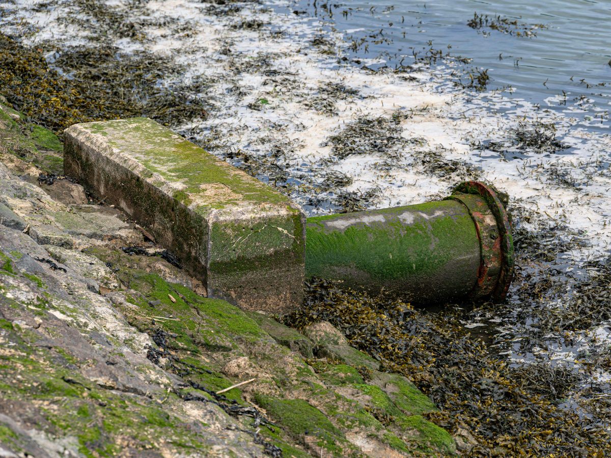 Welsh Water set to pay out £44.7m over sewage spills