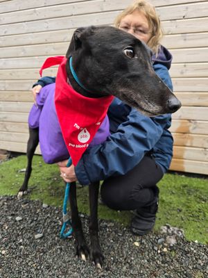 Brave boy Bertie showing off his superhero neckerchief with HRH's Claire Butler