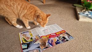 Supporting image for story: Llandrindod’s Fizz has done it again – this time he has wandered onto the pages of a national magazine