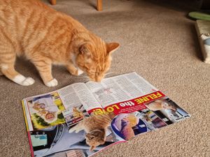 Supporting image for story: Llandrindod’s Fizz has done it again – this time he has wandered onto the pages of a national magazine