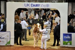 Farmers from all over Shropshire and the Midlands attended