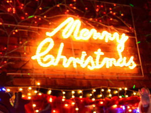 Supporting image for story: Funding needed to save Cannock Chase Christmas lights