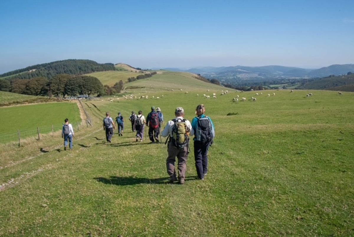 Kington Walks receives The King&rsquo;s Award for Voluntary Service in Kings 2025 Birthday Honours
