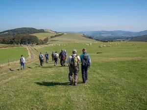 Supporting image for story: Kington Walks receives The King’s Award for Voluntary Service in King's 2025 Birthday Honours