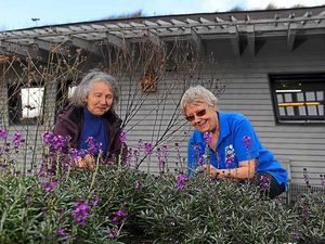 Supporting image for story: Centre to welcome more butterflies and bees as new garden takes flight