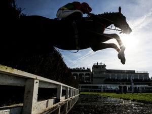 Supporting image for story: Williams lands winning double at Ludlow