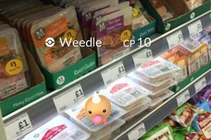 Morrisons has had a little bit of a problem with Weedle in the produce recently