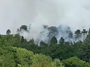 Supporting image for story: Sandwell councillors will be asked to get behind call for disposable barbecue ban following series of wildfires 