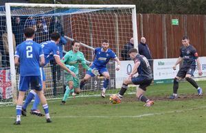 Halesowen Town vs Bishop's Stortford. Picture: Steve Evans