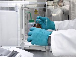 Supporting image for story: Someone’s DNA is not their destiny, it is only a part of who they are – expert