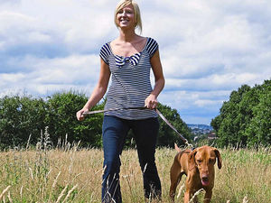 Supporting image for story: There's no doggy right to roam on a farm field