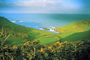 Supporting image for story: Holiday review: Salcombe, Devon