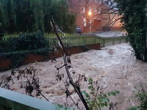 Supporting image for story: Trees blown down and cars stranded as heavy rain and strong winds continue