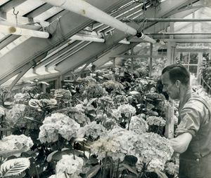 Supporting image for story: 'Politics requires that a leader be able to take his or her troops with them' - Your Letters: July 24