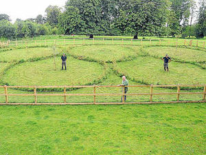 Supporting image for story: Olympic rings planted in Much Wenlock