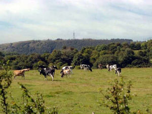 Supporting image for story: Letter: Preserving The Wrekin environment