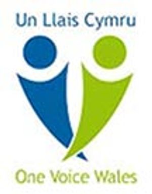 Llandrindod Wells Town Council has agreed to renew its membership of One Voice Wales from April