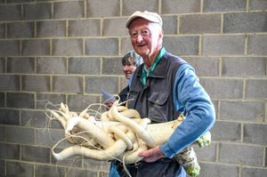 Peter Glazebrook with his giant radish.