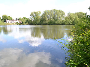 Supporting image for story: Emergency operation launched to rescue man from Telford pool in early hours

 