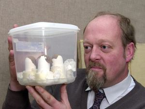 Supporting image for story: From the world's oldest condoms to a nine-day Queen - fascinating Dudley facts